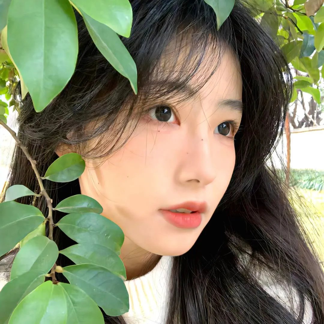 火星大接触